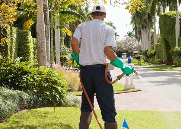 About Callicoon NY Pest Control